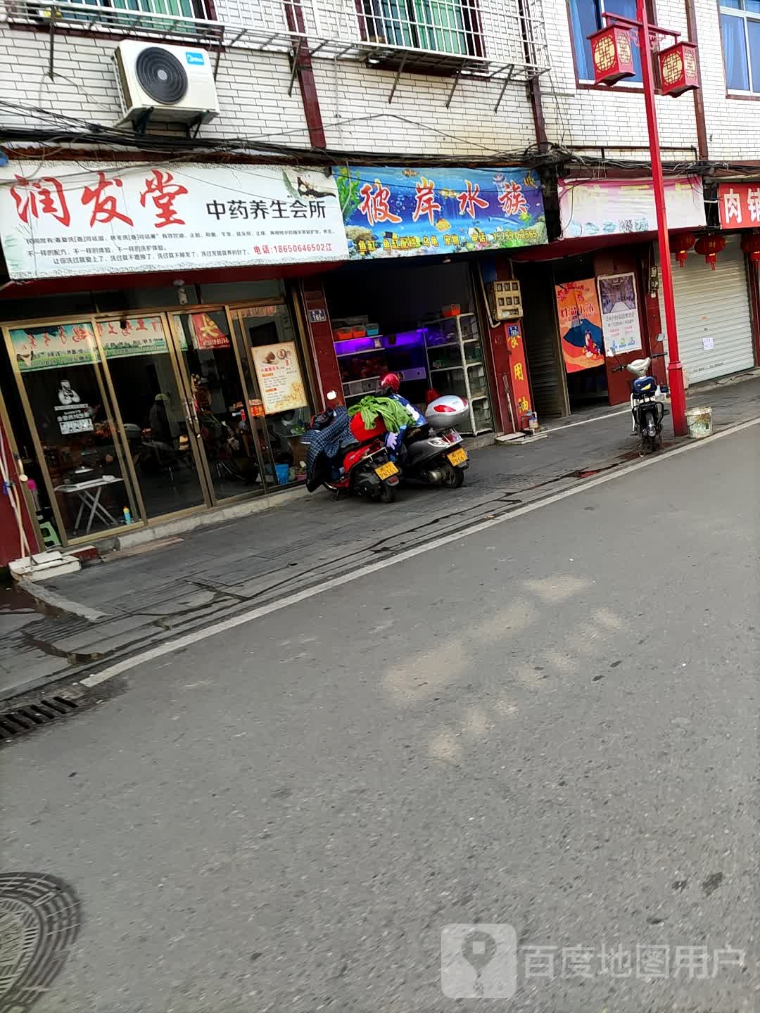 彼岸水族
