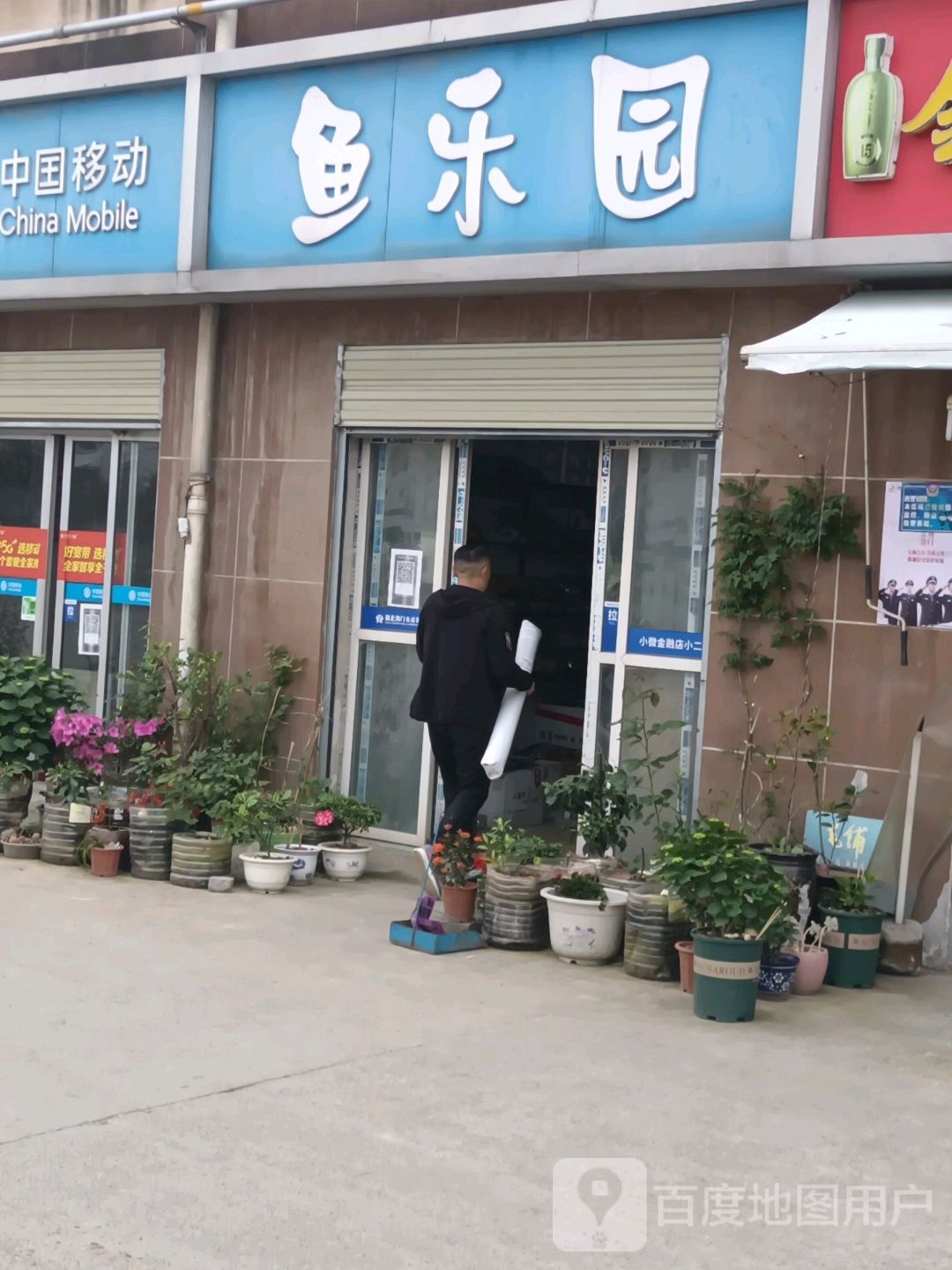 鱼乐园