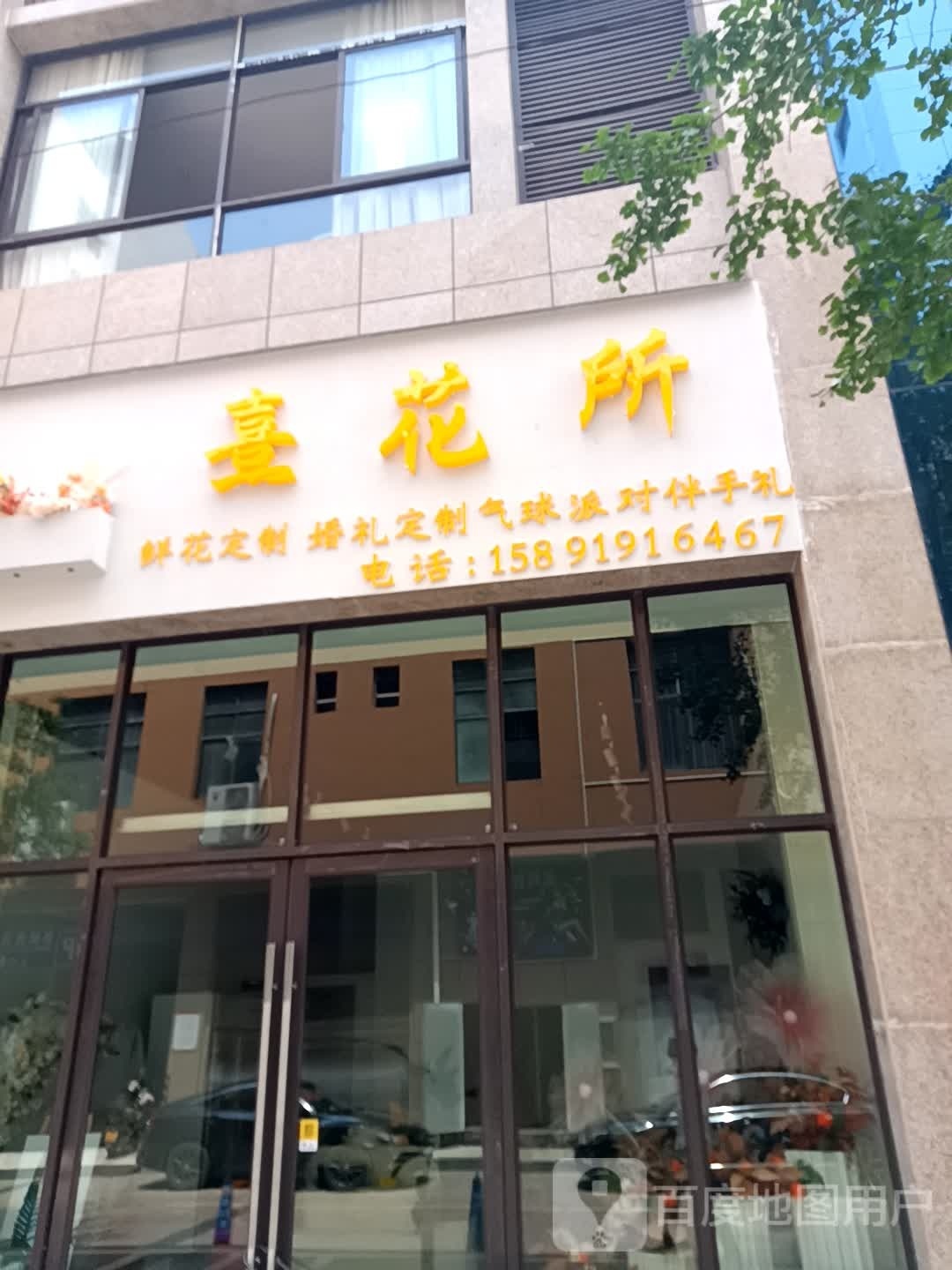熹花所