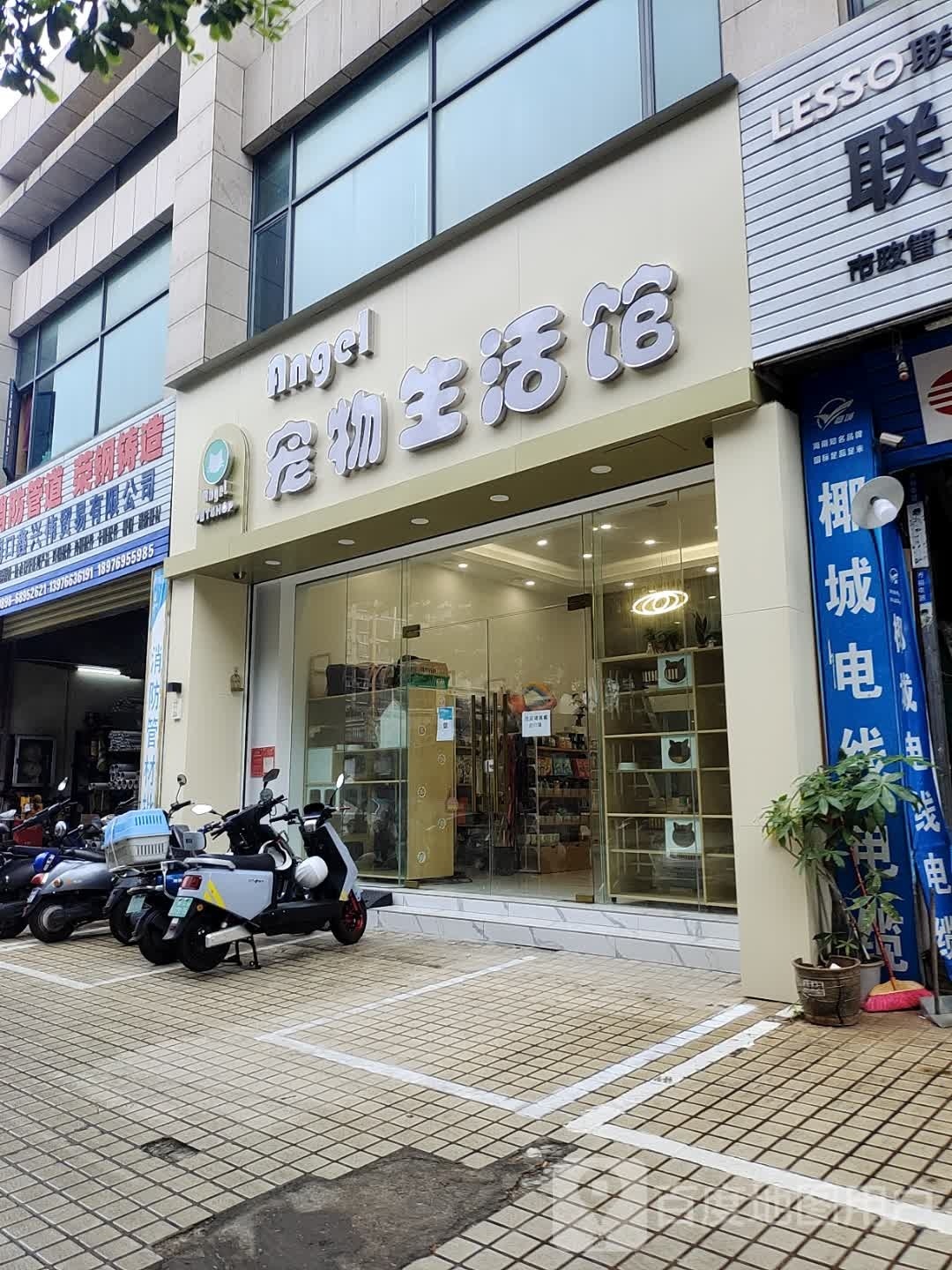 Angel宠物生活馆(金垦分店)