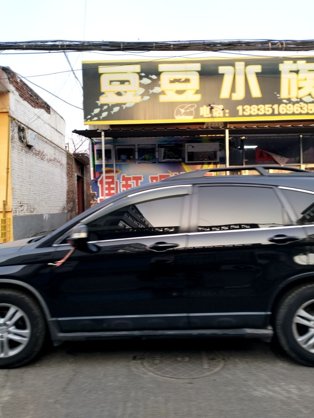 豆豆水族