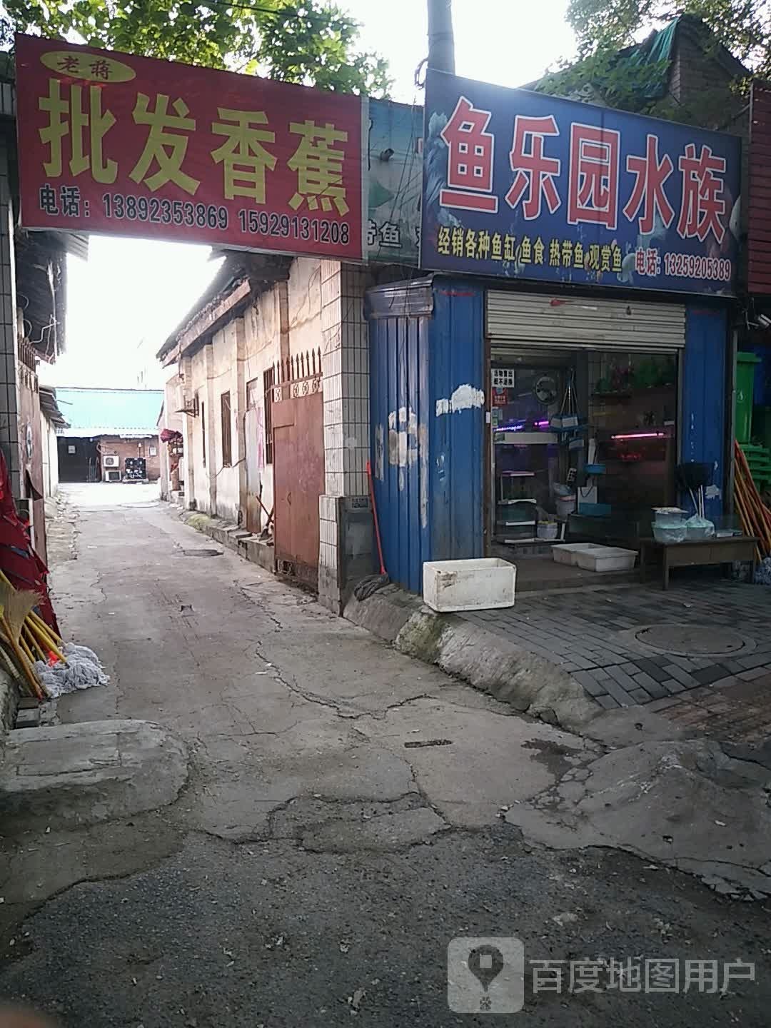 老党精品水果批发