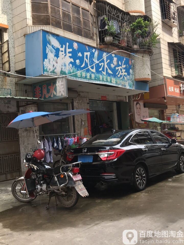 非凡水族