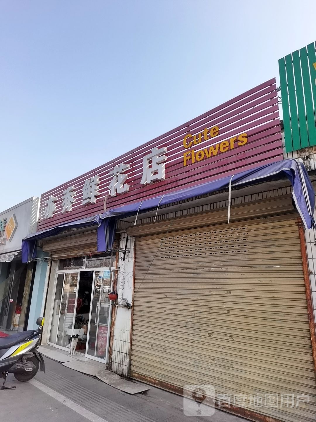 乔鲜花店