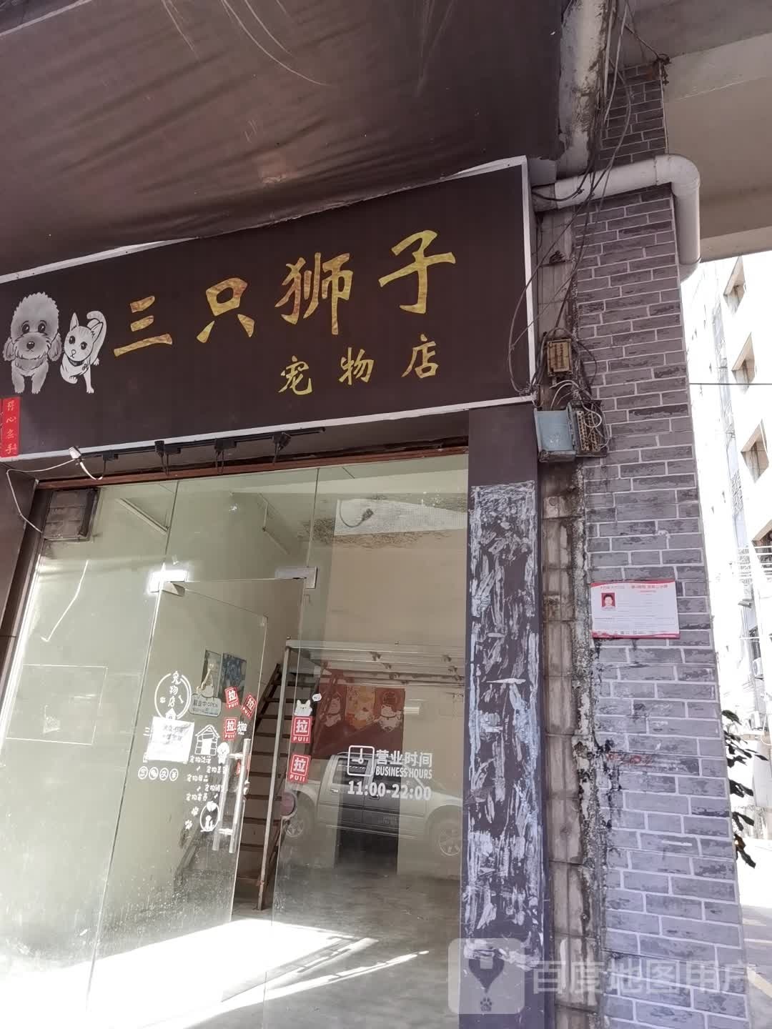 三只狮子宠物店
