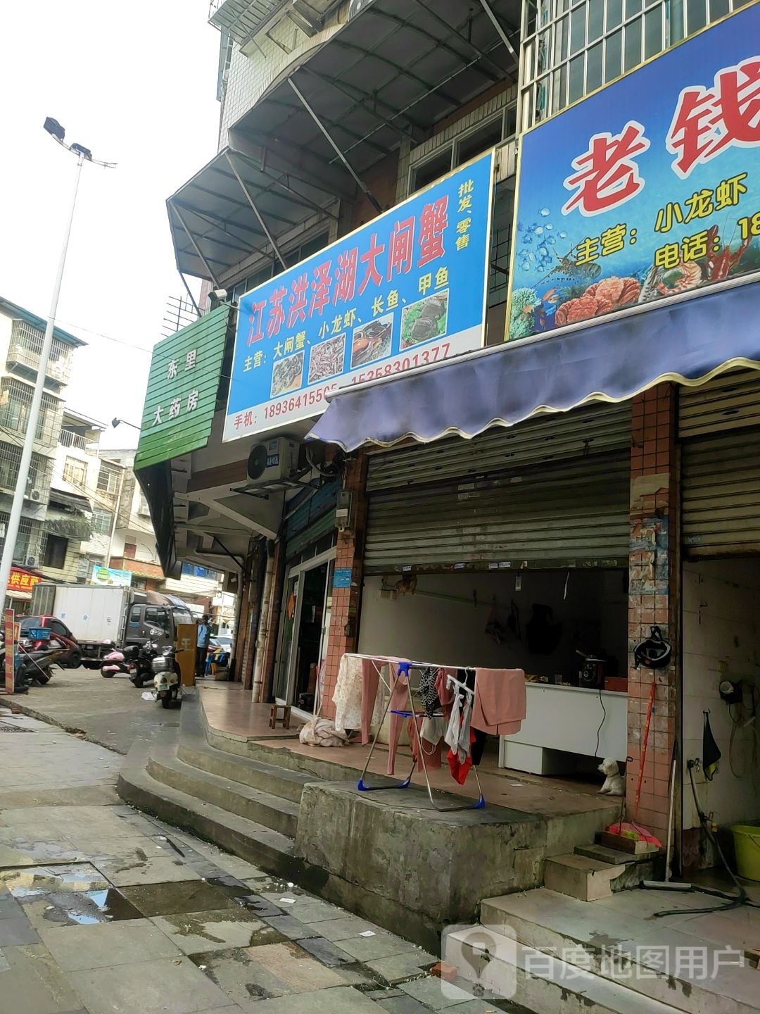 江苏洪泽湖附大闸蟹