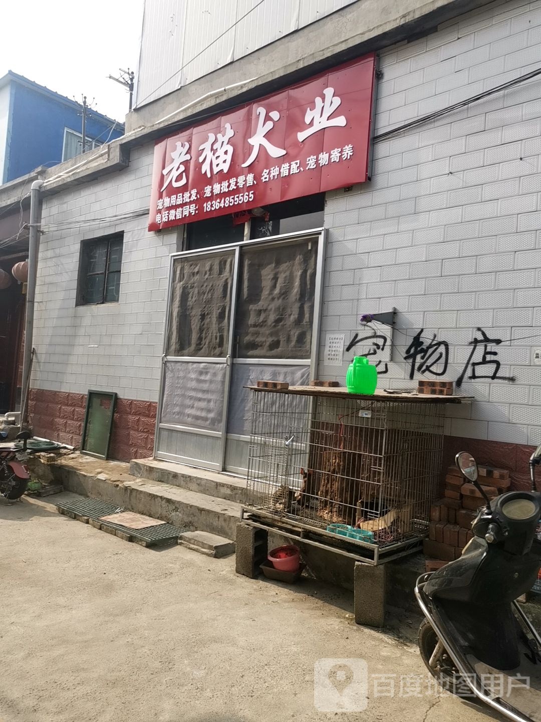 宁阳老猫犬业宠物店