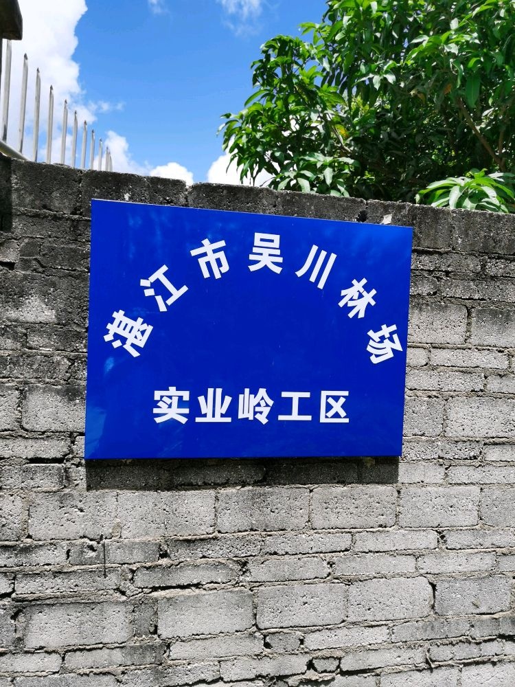 湛江市吴川林场实业岭工区