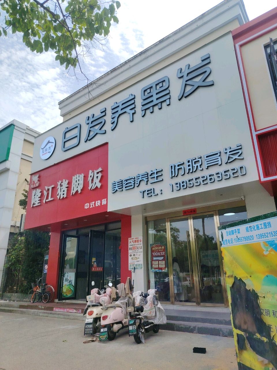 白发养黑发美容养生