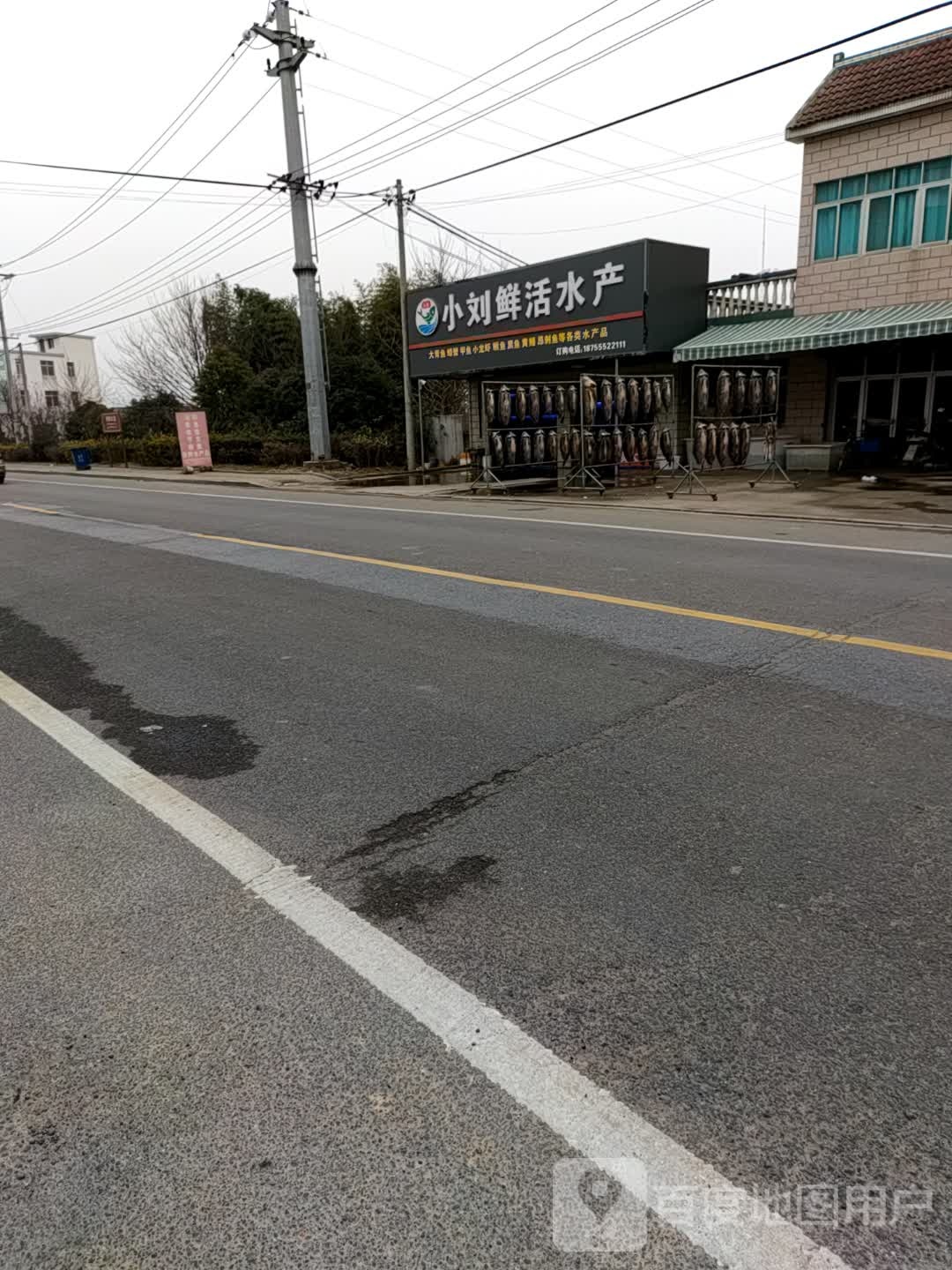 小刘鲜活水产