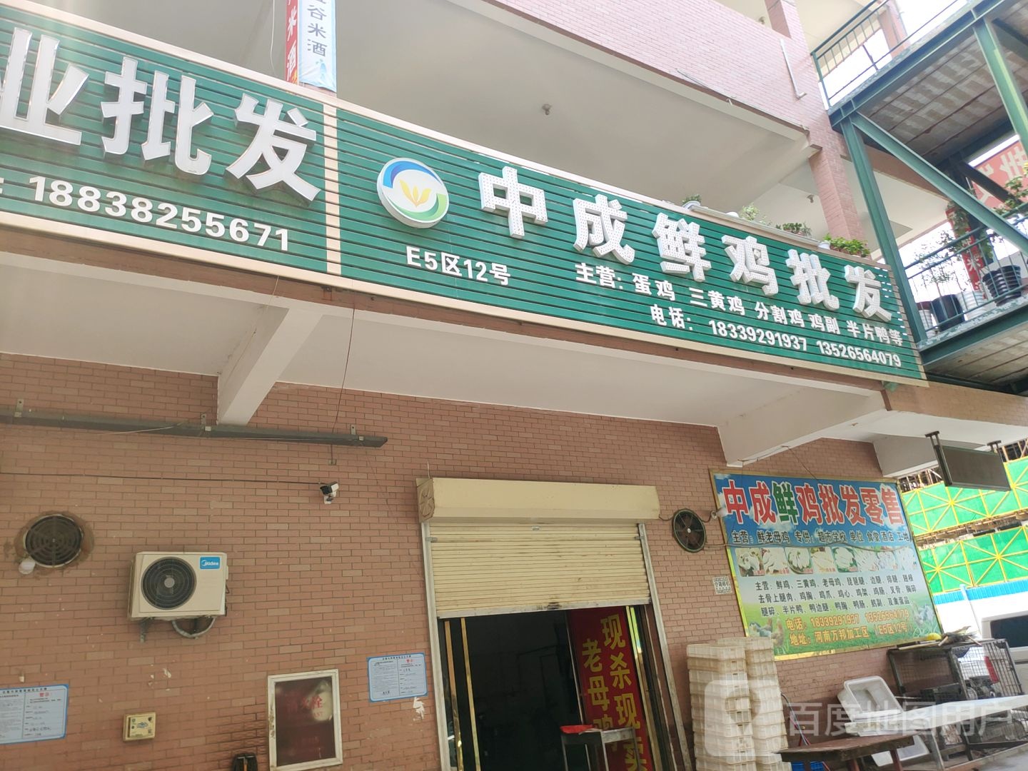 中成鲜鸡批发