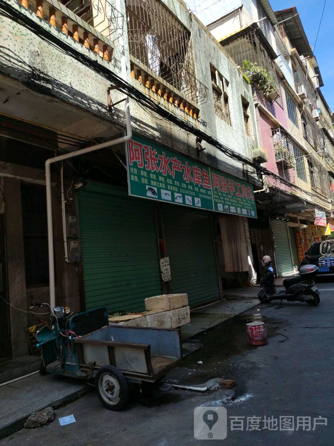 阿张水产水库#鱼
