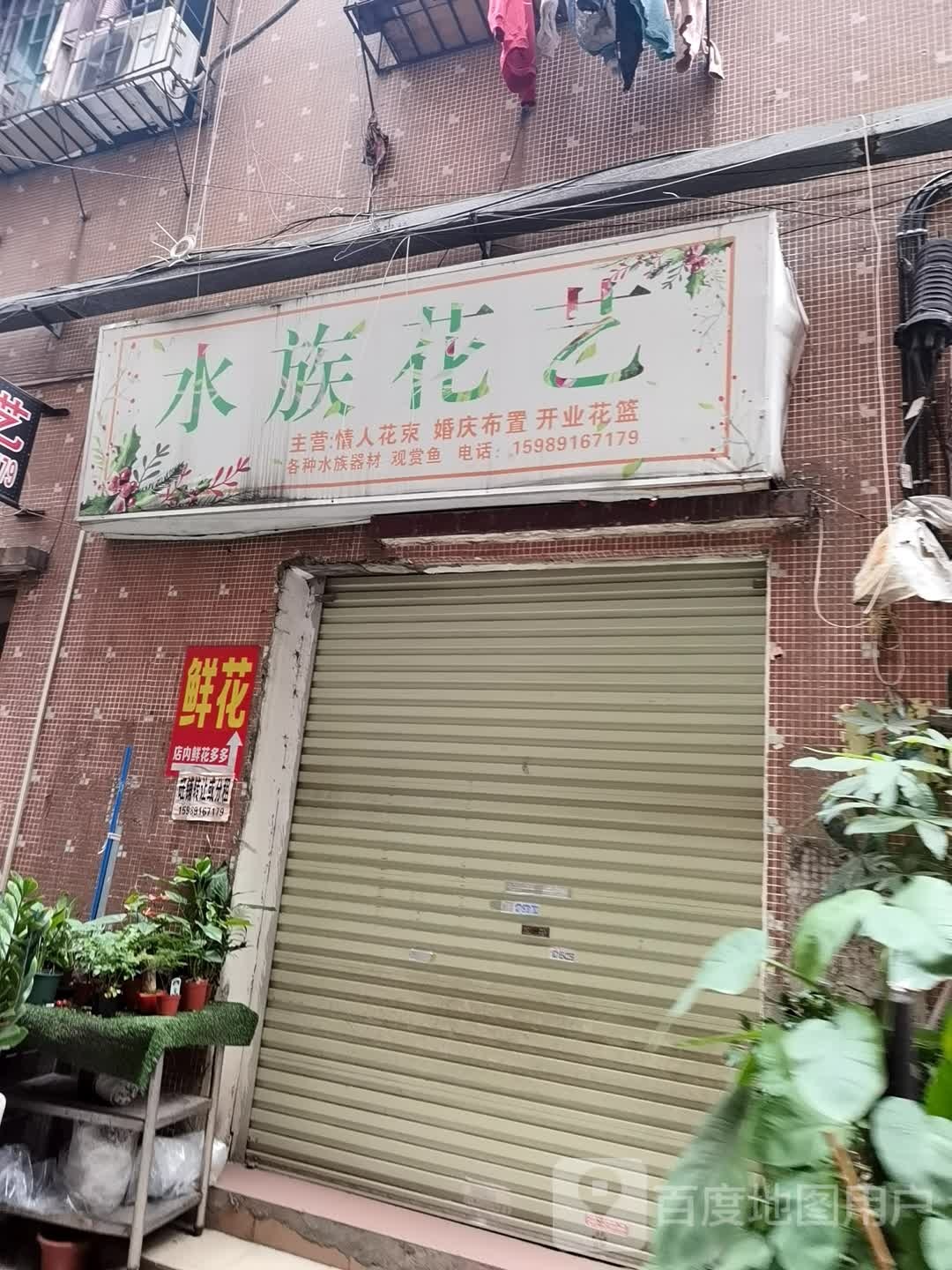 水族花艺