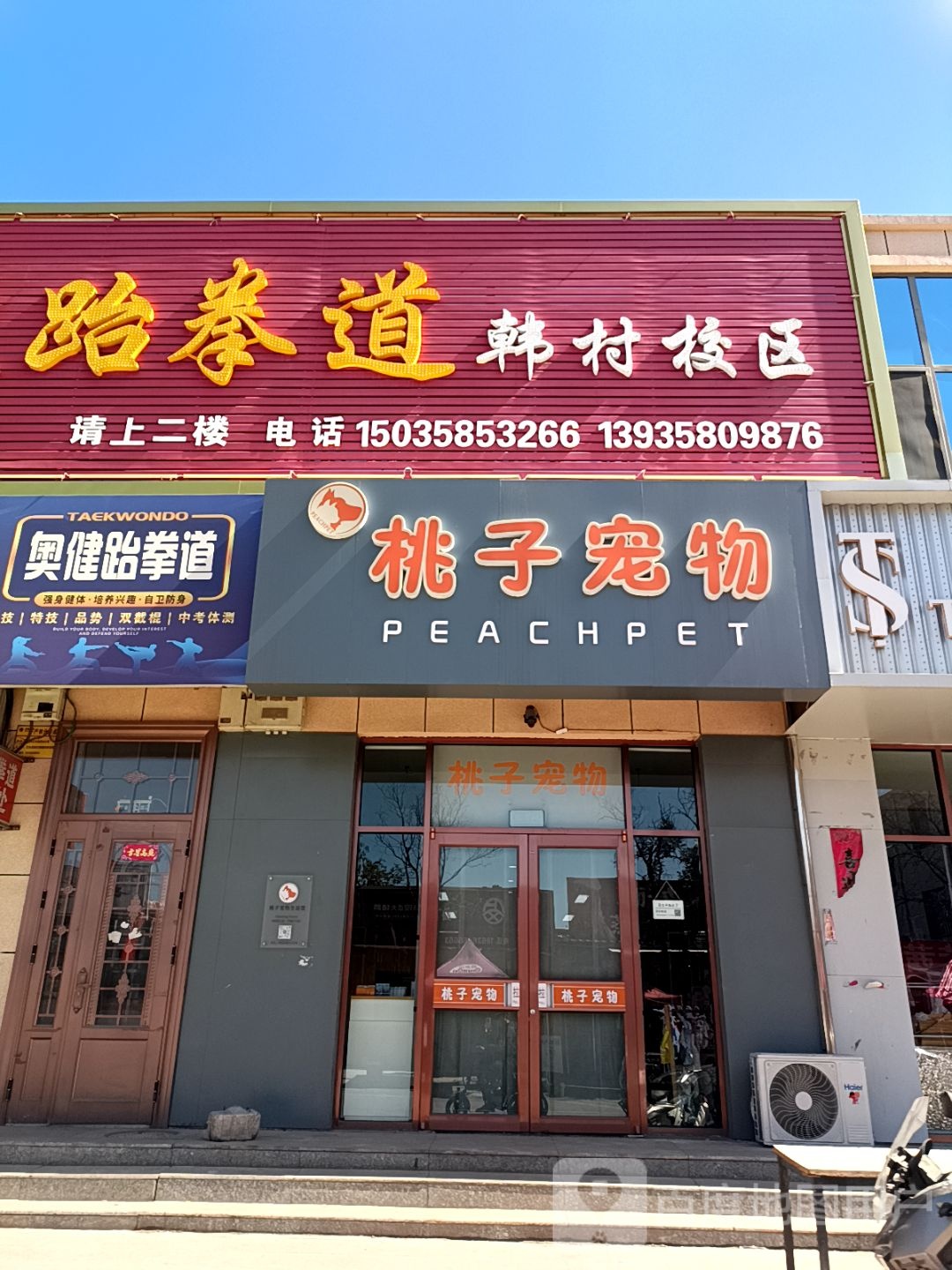 桃子宠物(嘉和苑店)