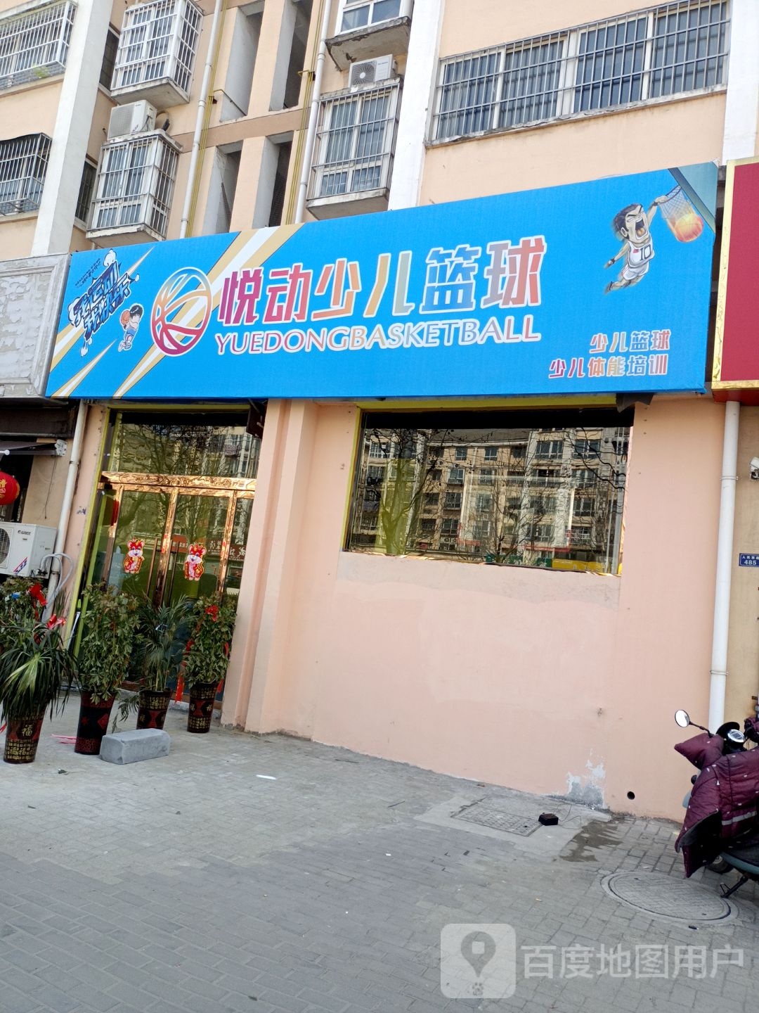 悦动少儿篮球