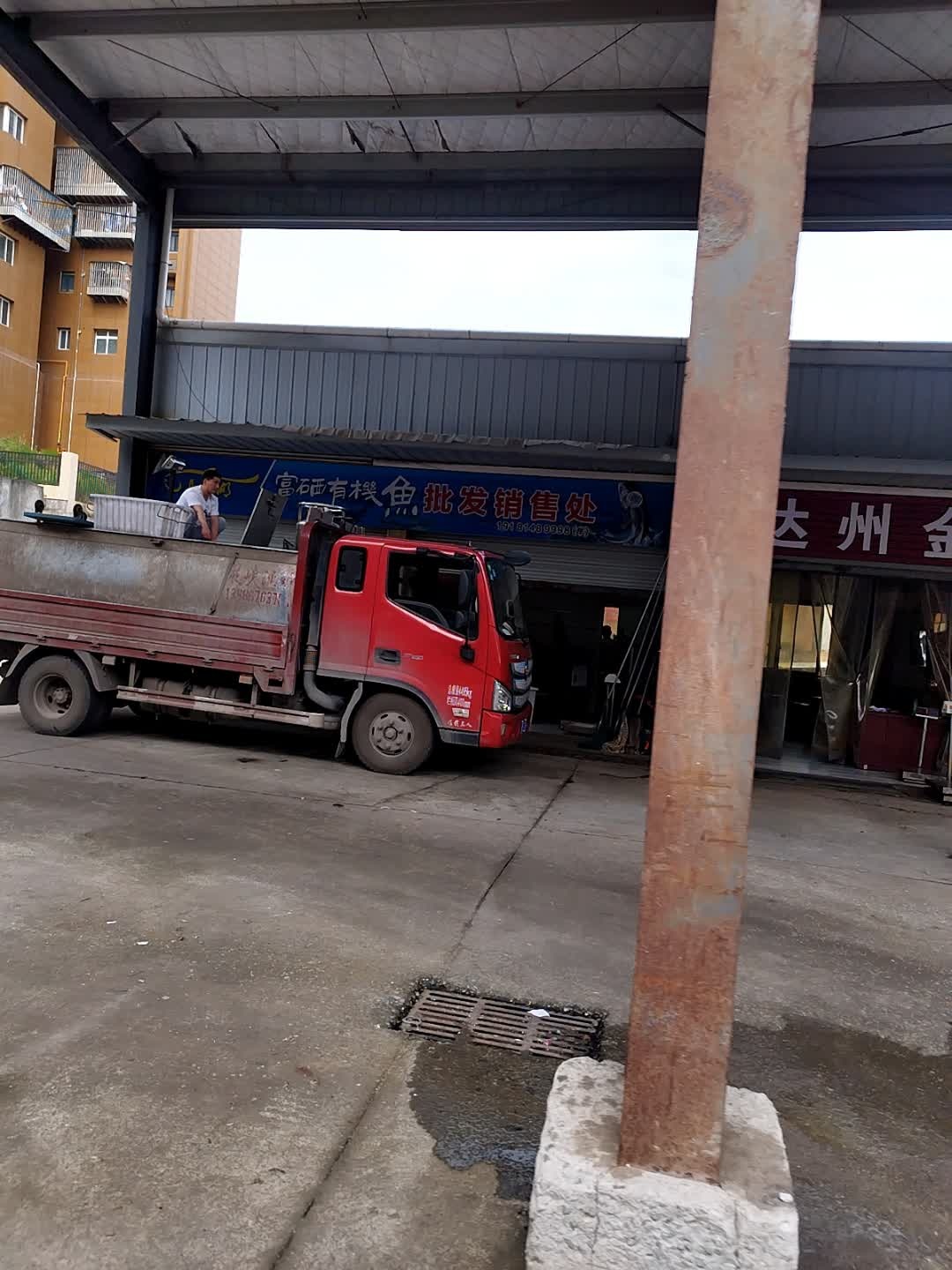 富硒有机鱼批发销售处