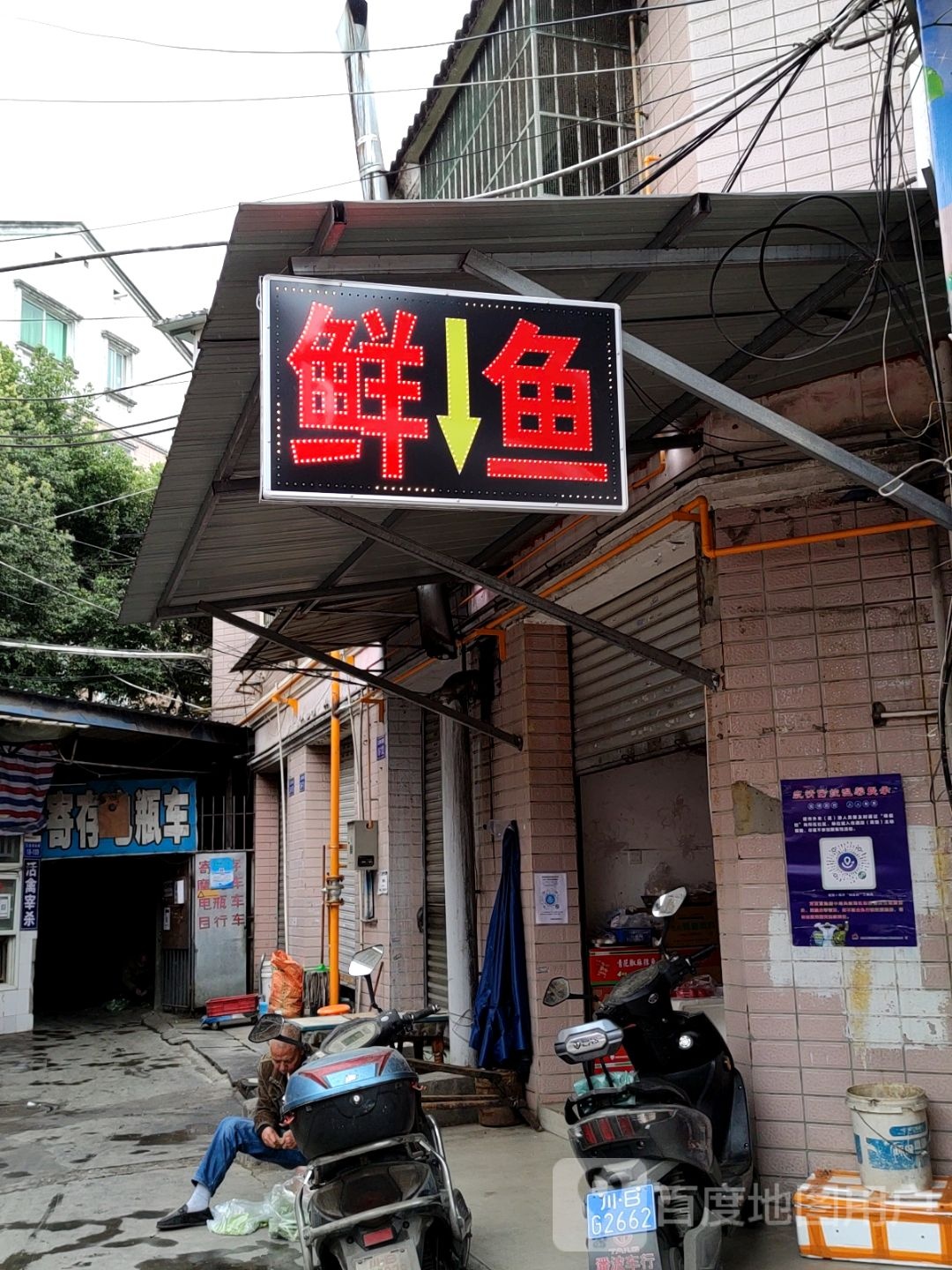 鲜鱼店