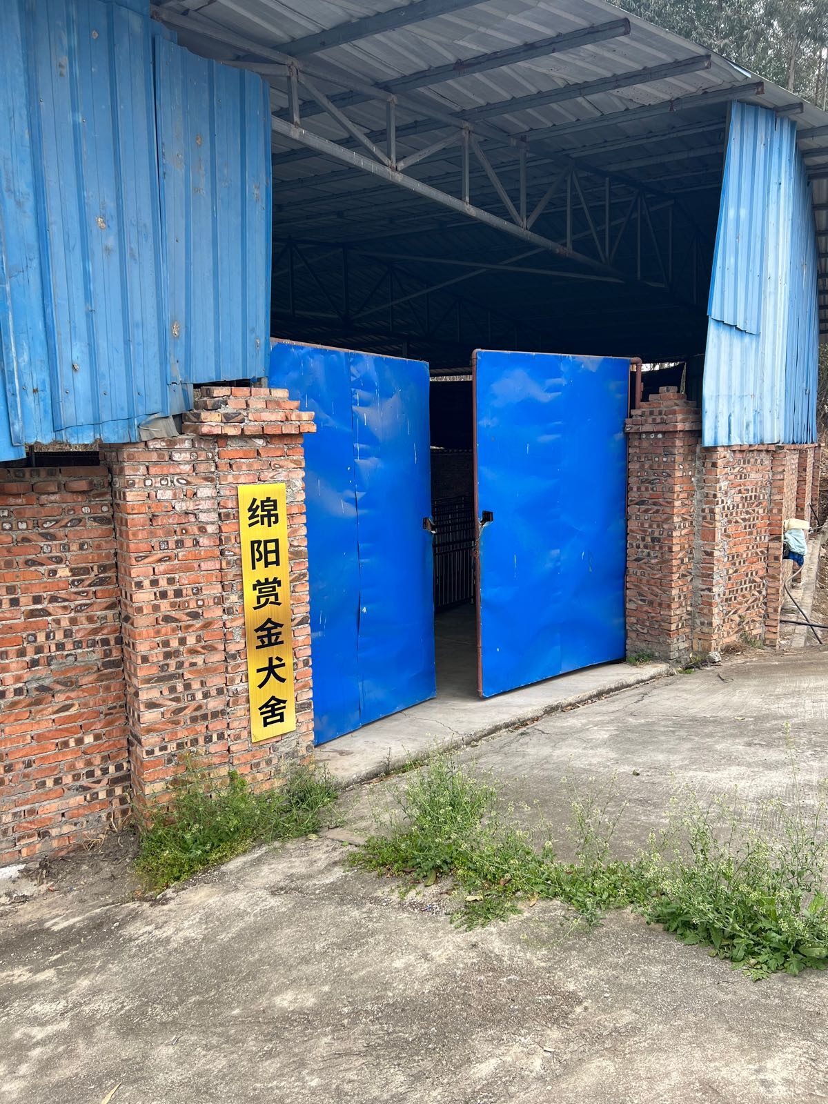 绵阳赏金犬舍