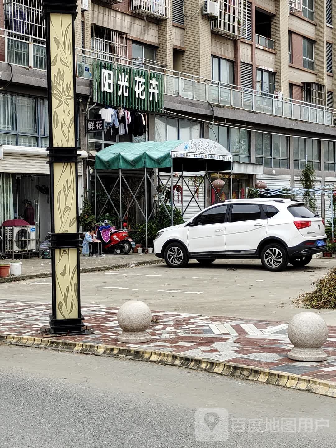 阳光花卉