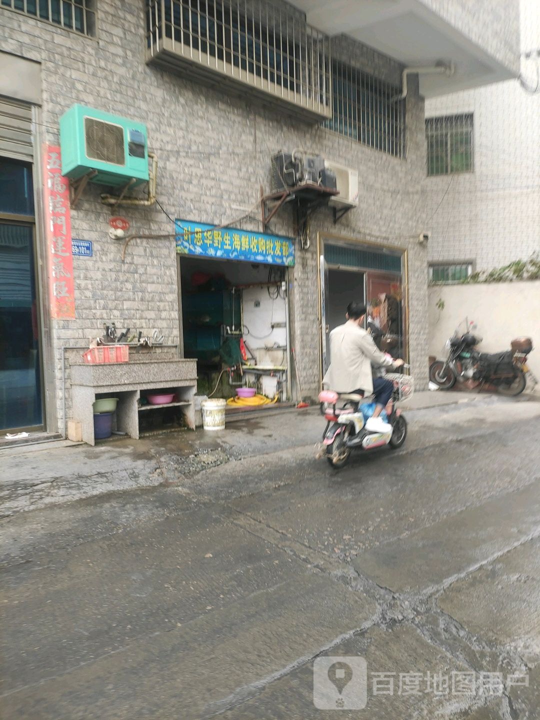 叶思华野生海鲜收购批发部