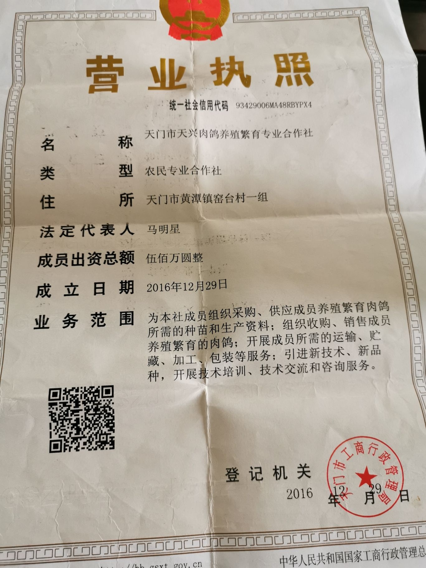 湖北省天门市天兴肉鸽养殖繁育专业合作社