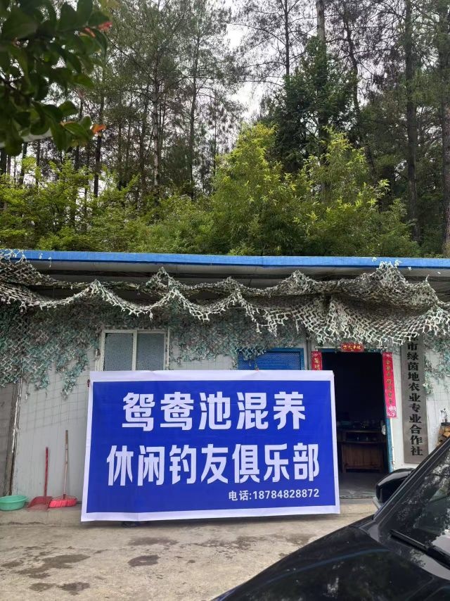 鸳鸯池混养休闲钓友俱乐部