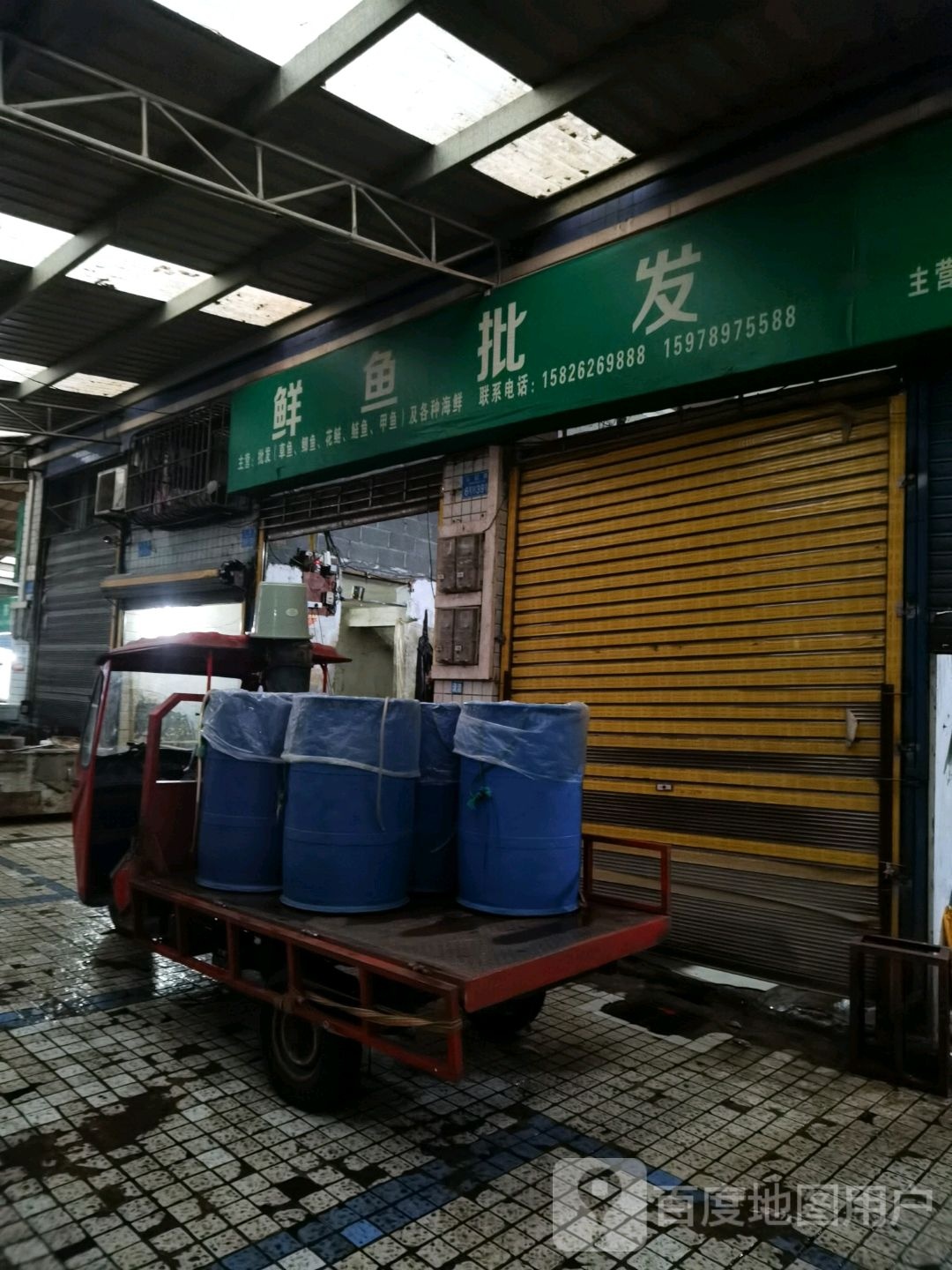 鲜鱼批发