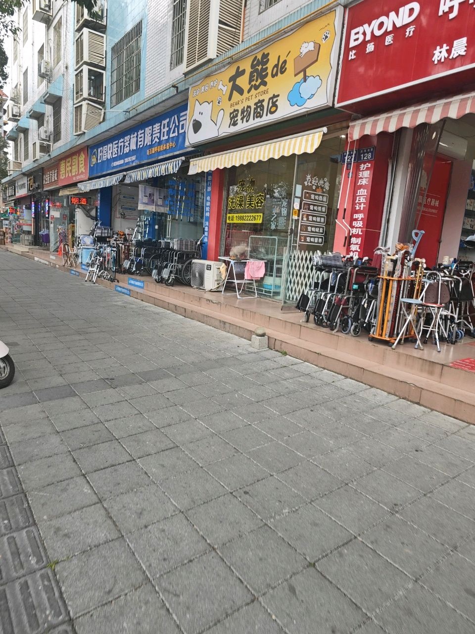 大熊的宠物商店
