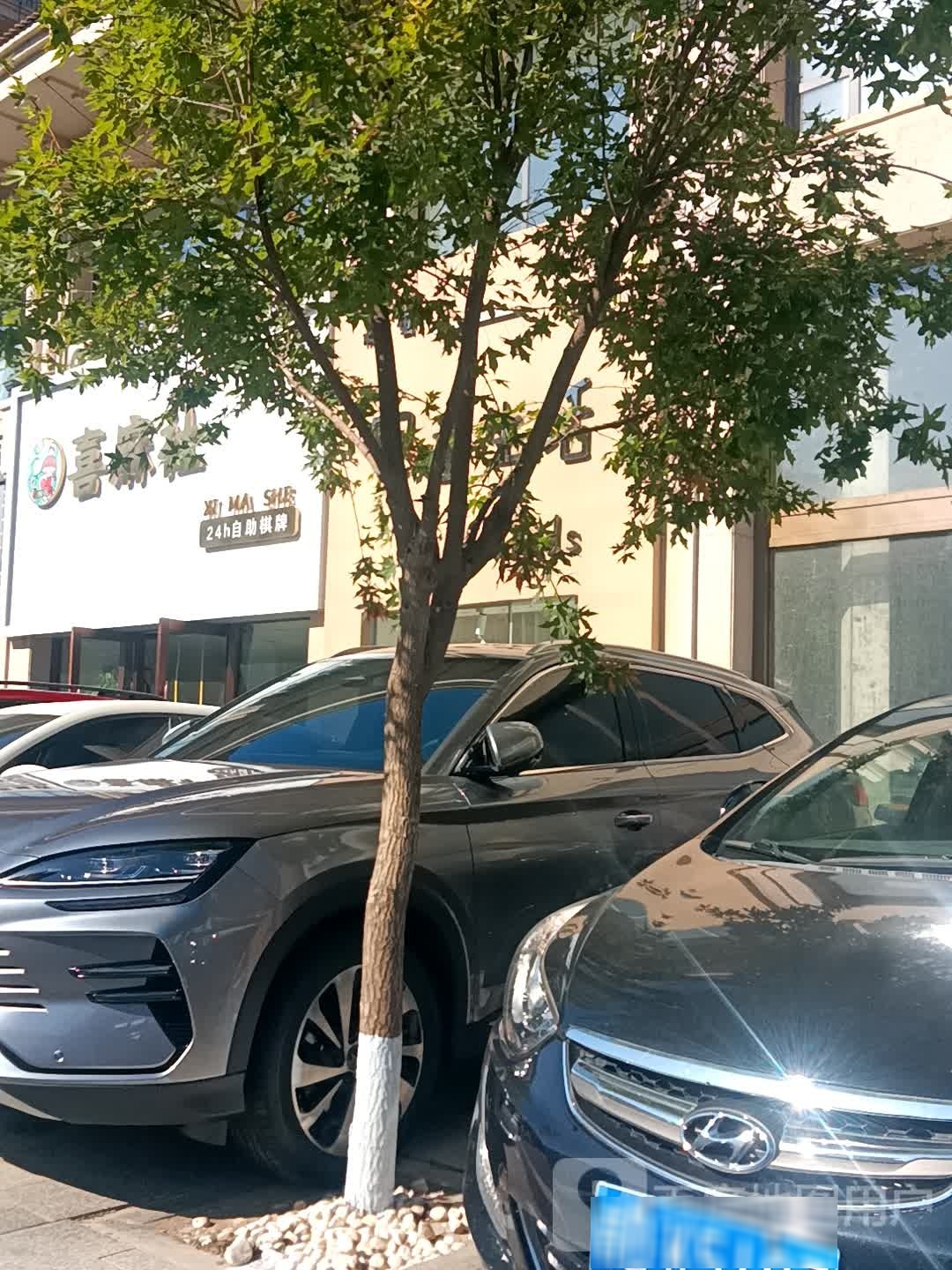 喜麻社(南湖一号西区店)