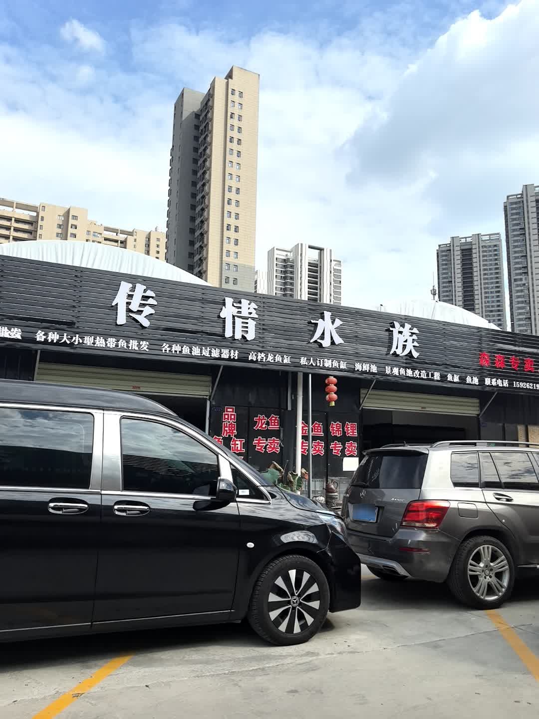 传情水族(新江南花木城)