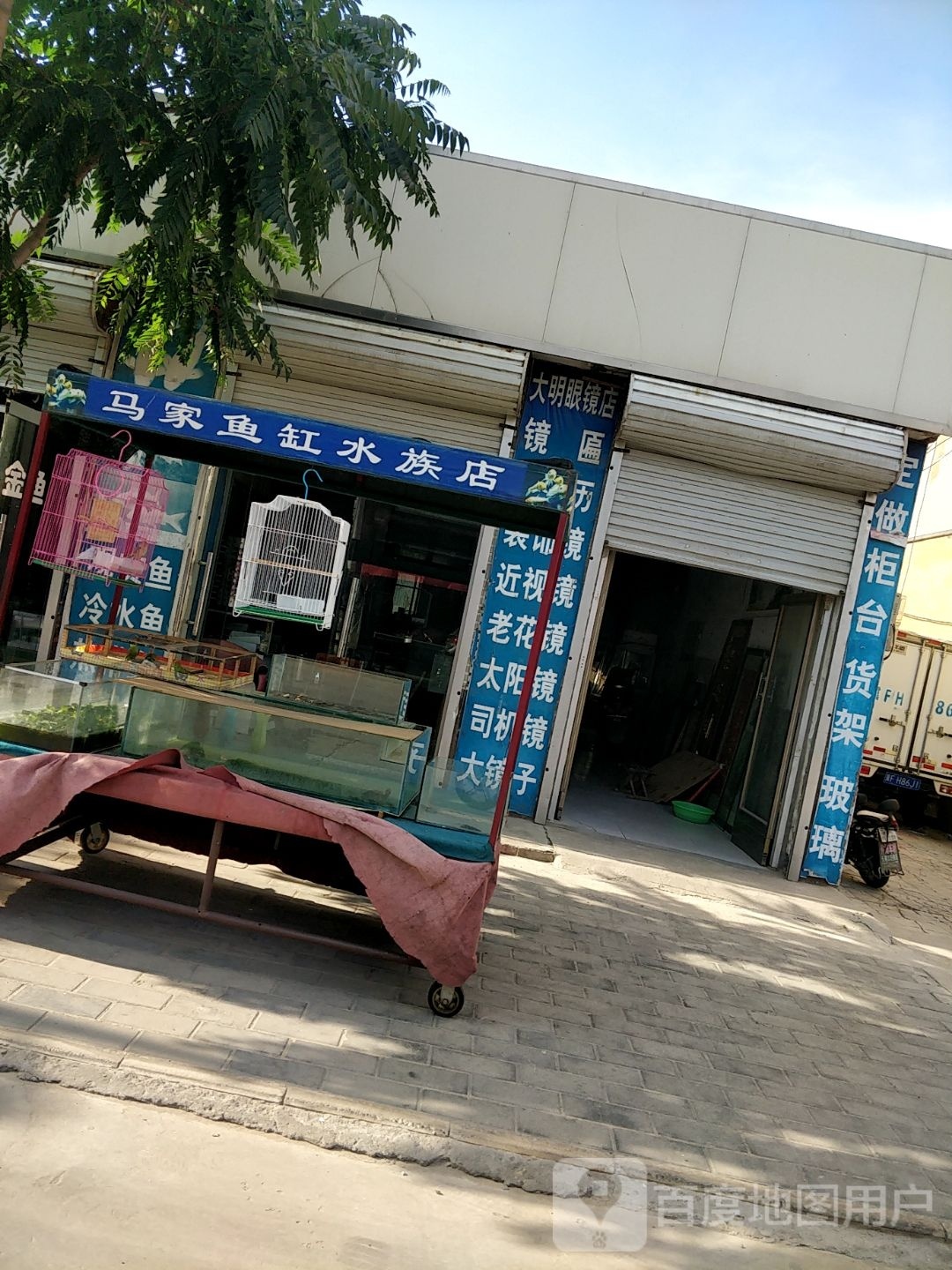 家推裔缸马鱼禳水族店