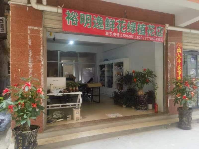 厦门裕明逸鲜花绿植花店