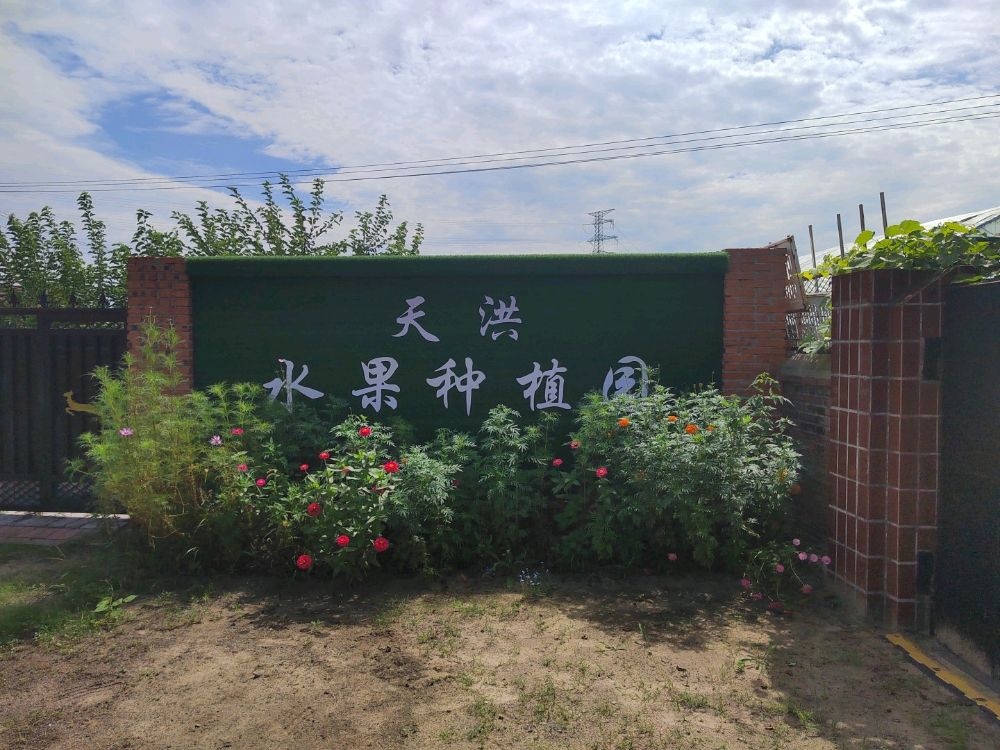 双辽市天洪水果种植园