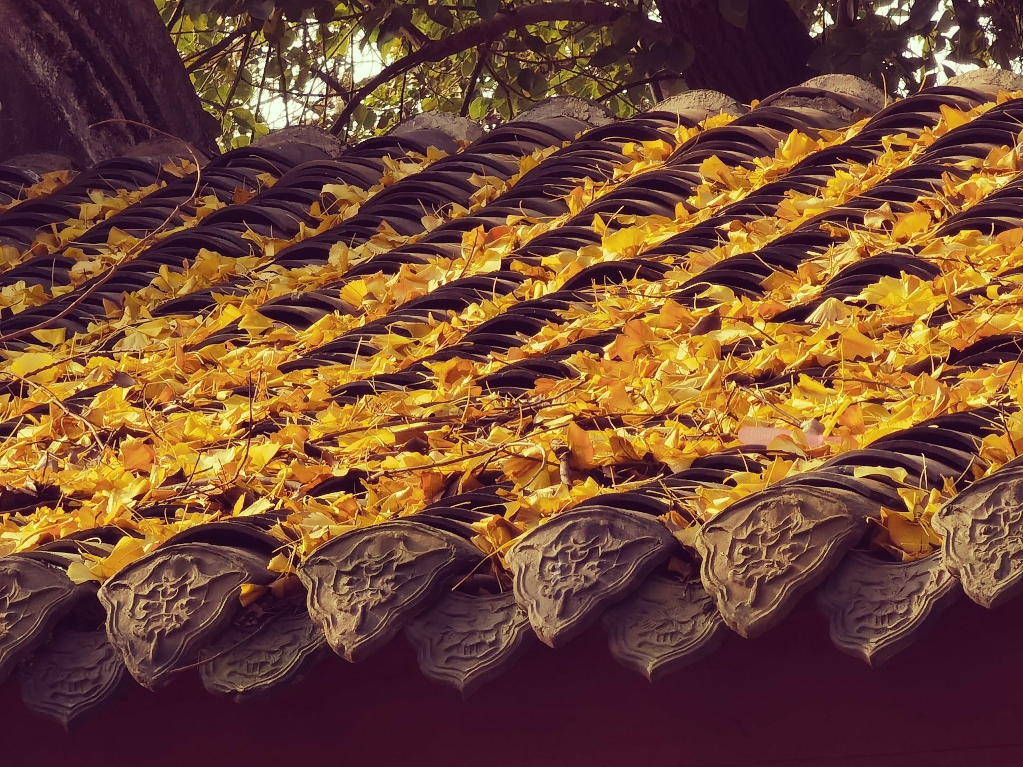 百花潭公园