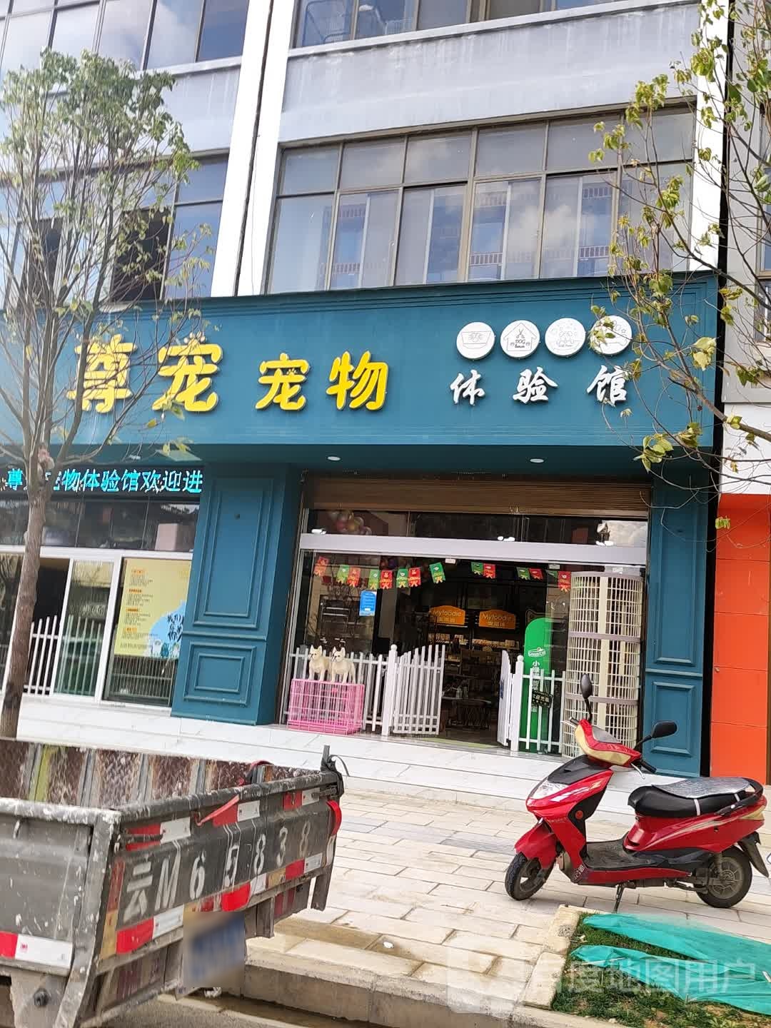 尊崇宠物(惠通路店)