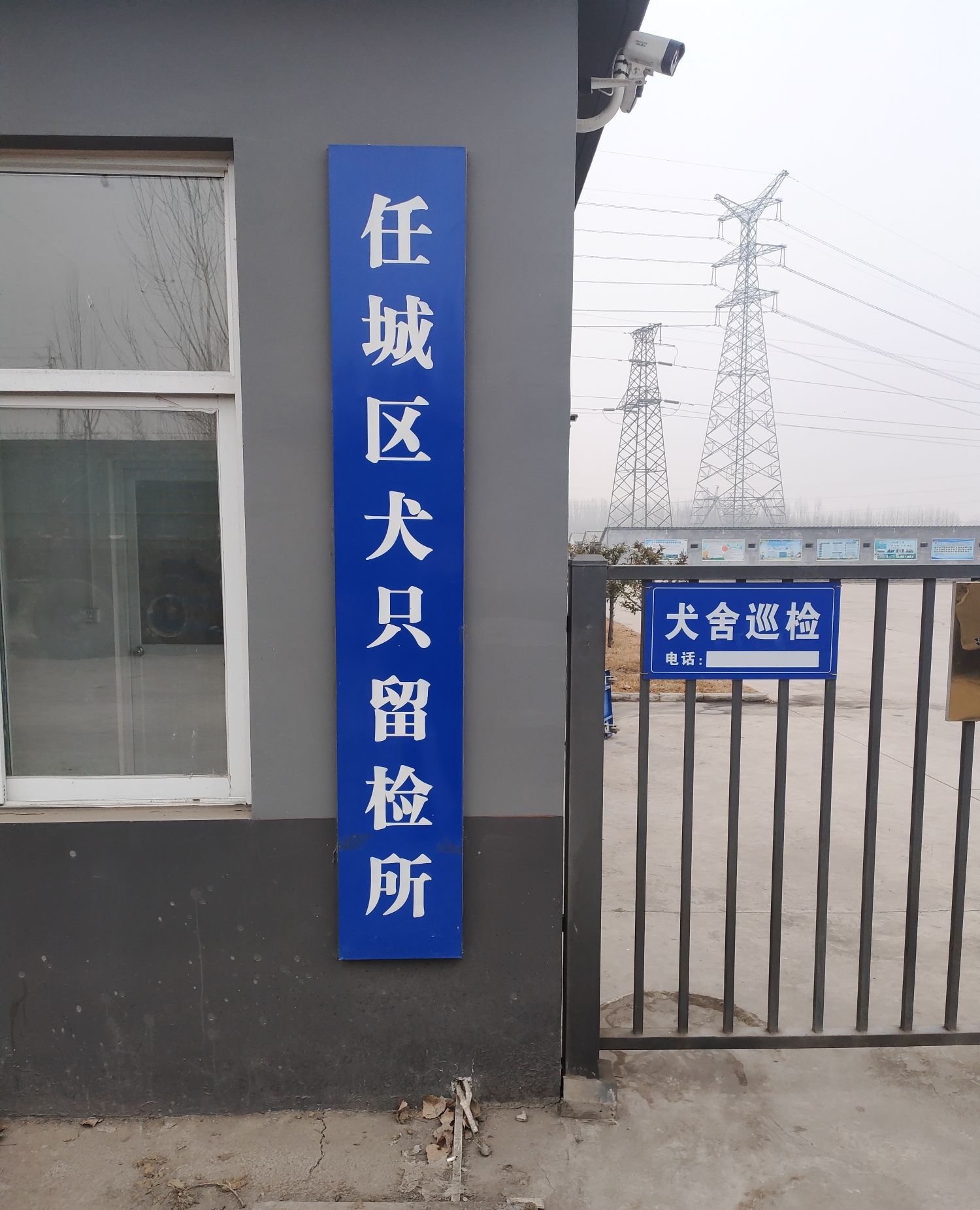 任城区犬只留检所