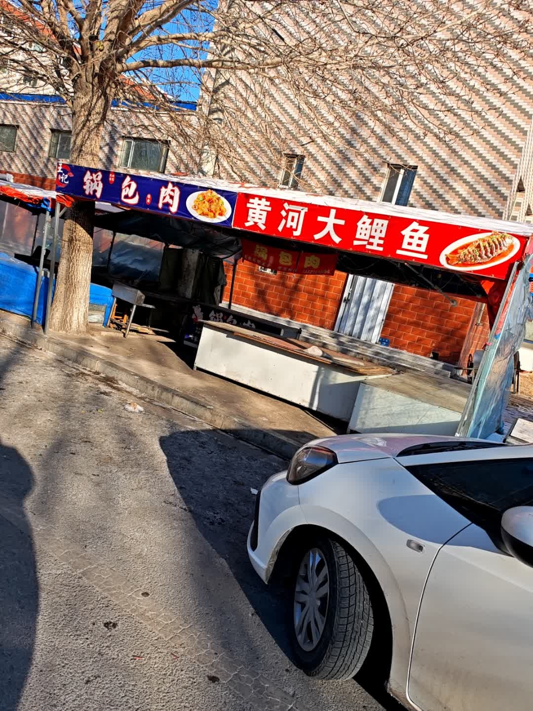 黄河大鲤鱼