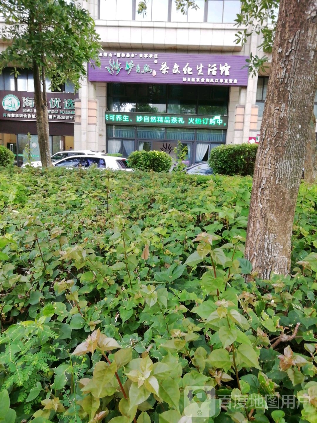 妙自然茶文化生活馆