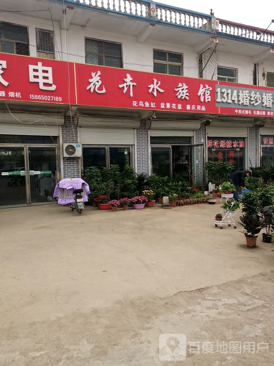 花卉水族管