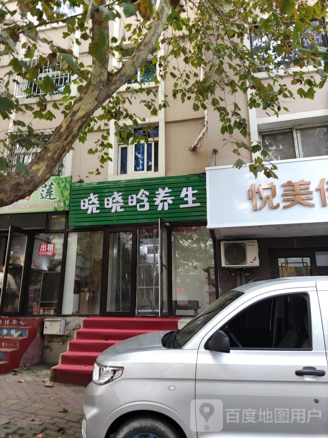 晓晓晗养生