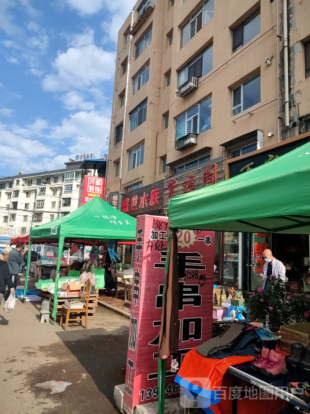 盛世水族(辽东二区店)