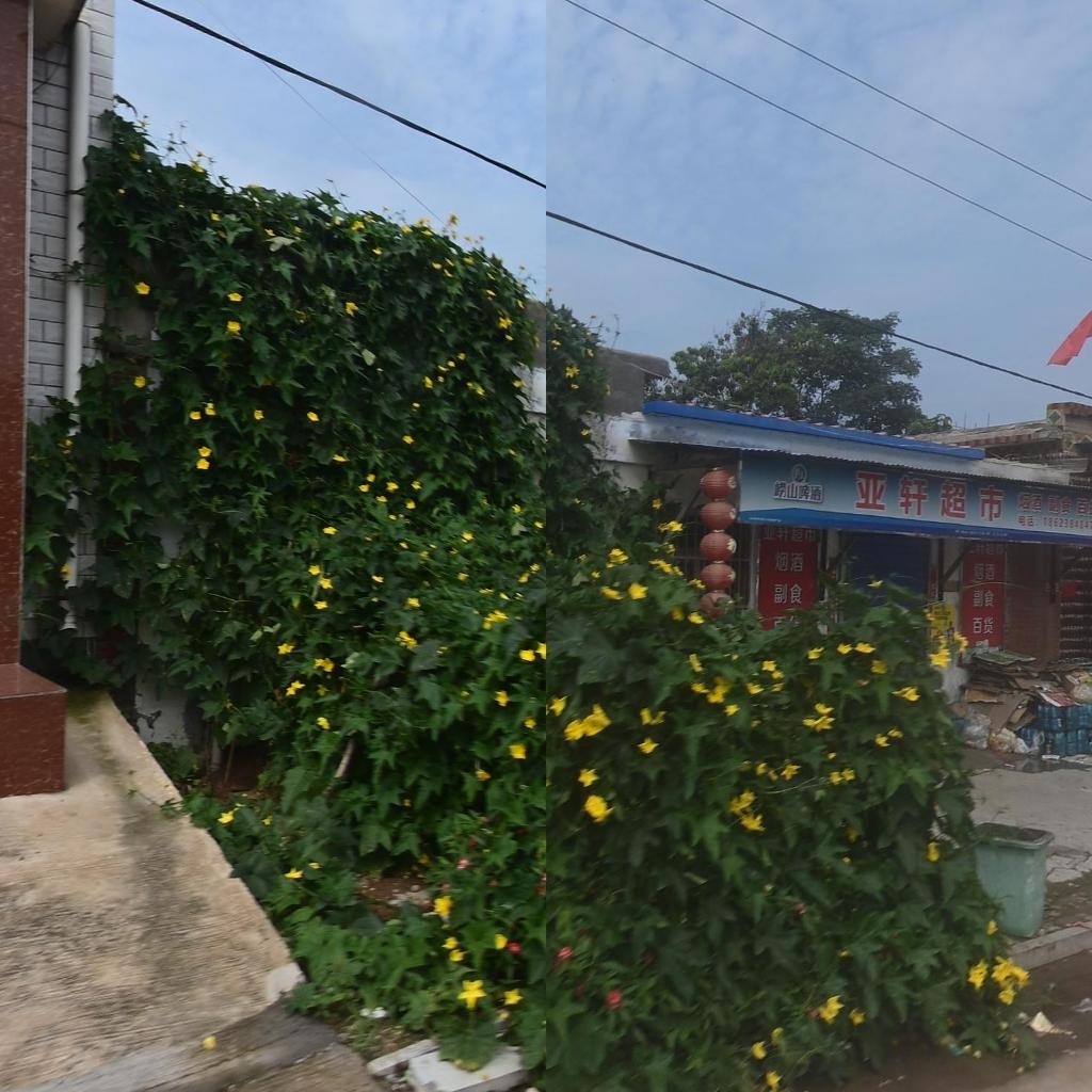 河南省安阳市北关区亚轩超市北关区花村店