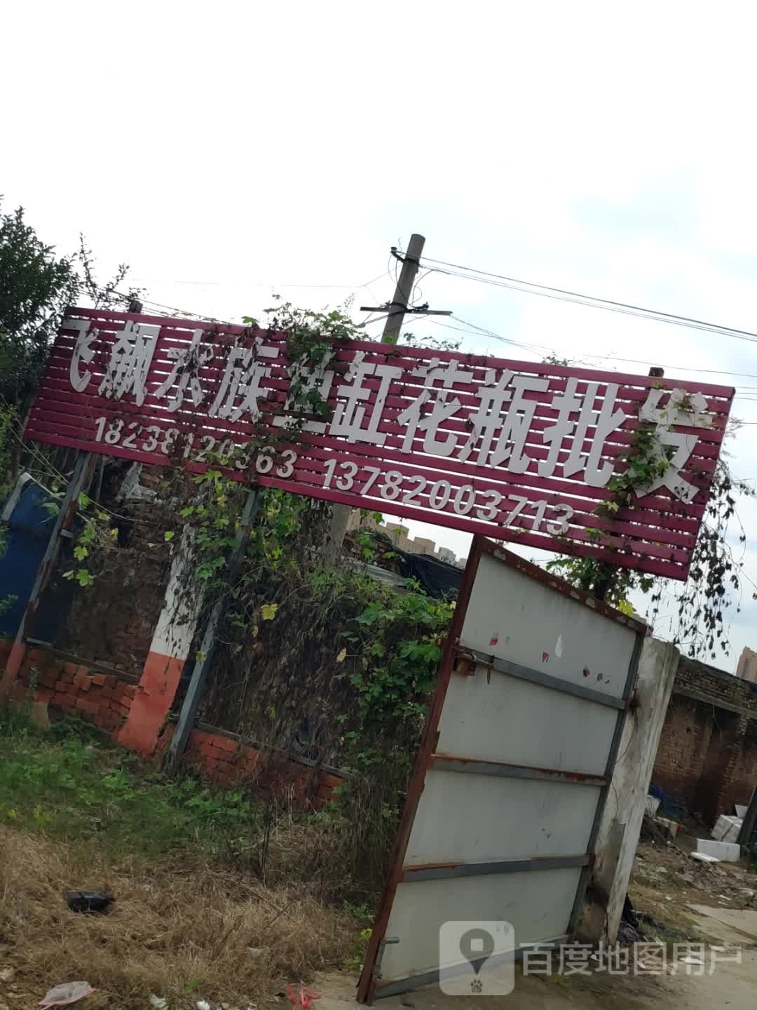 商水县飞飙水族花瓶鱼缸批发