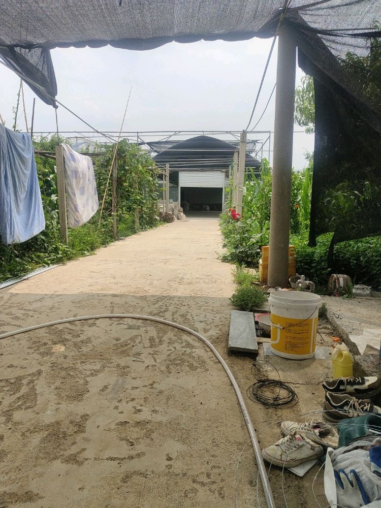 临淄区英爽再生资源经营回收站