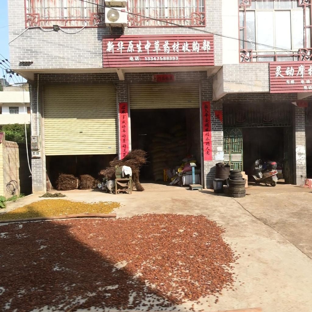 新华原生中草药材收购部