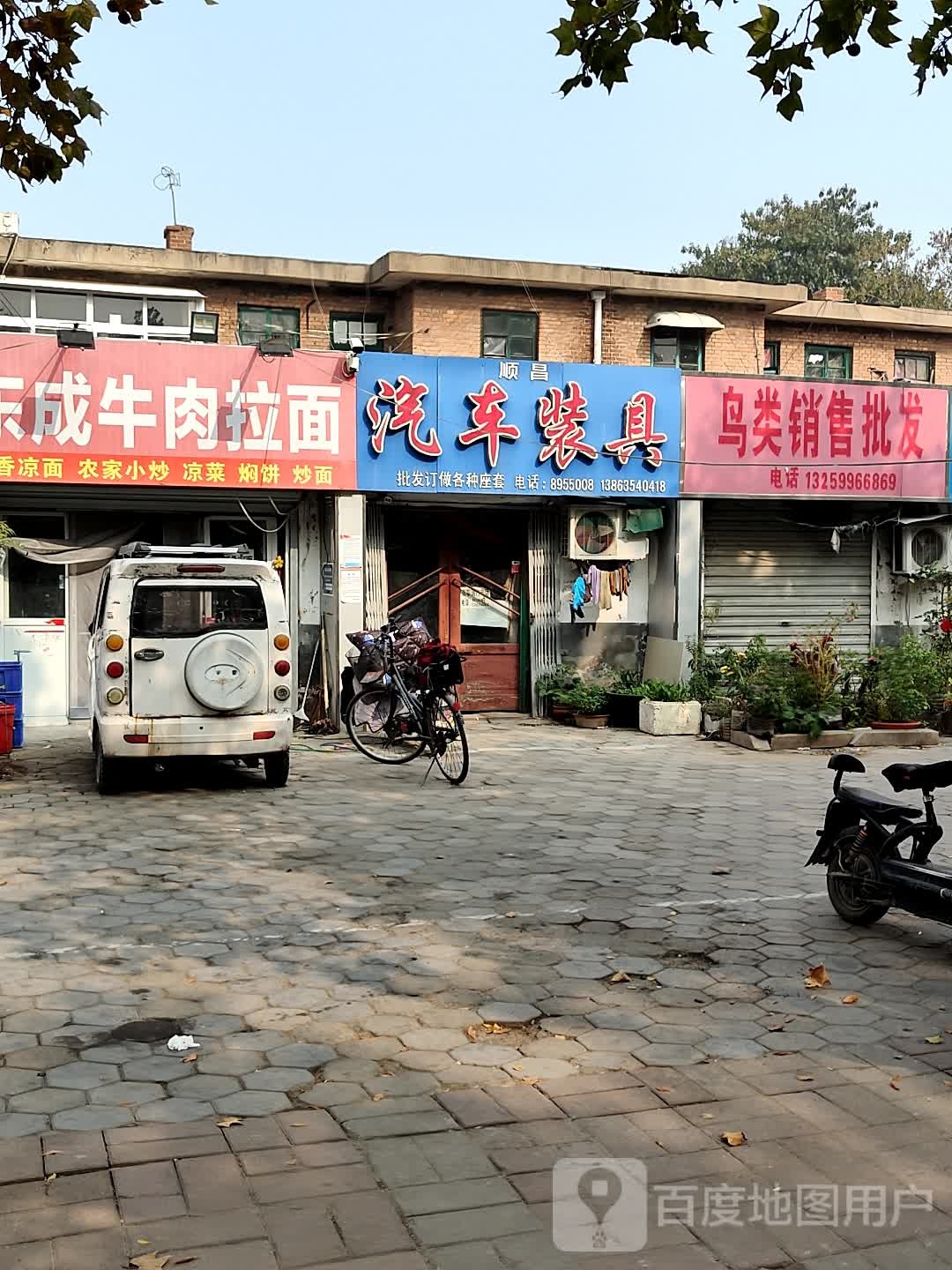 鸟类销售批发