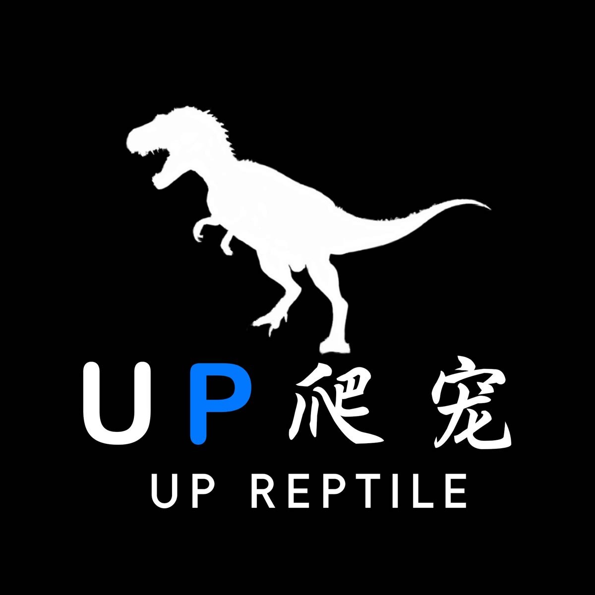 UP爬宠