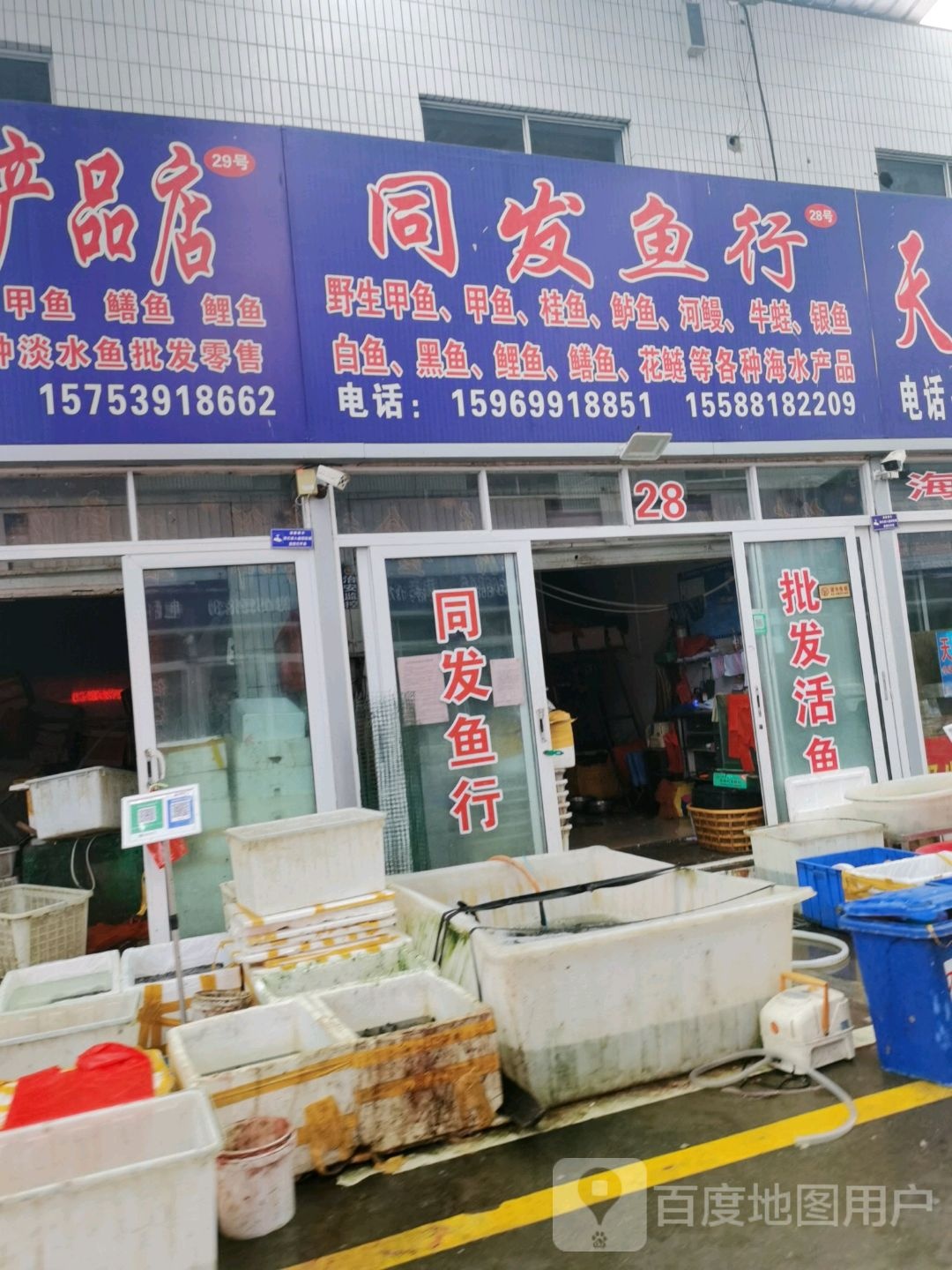 同发鱼行