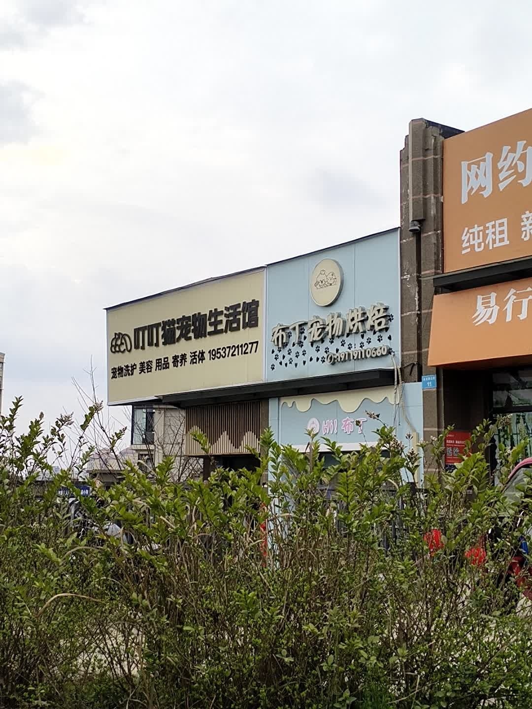 叮叮猫宠物生活馆