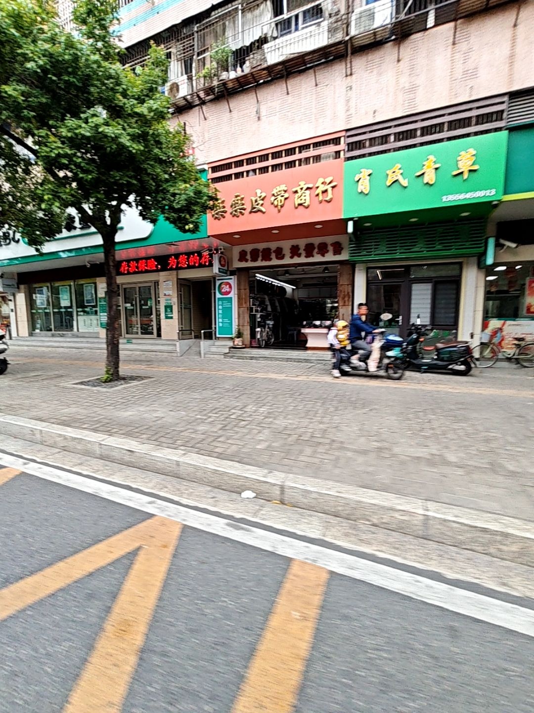 肖氏青草